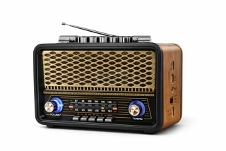 SIREL RetroWave Grand M-1918BT – Gold